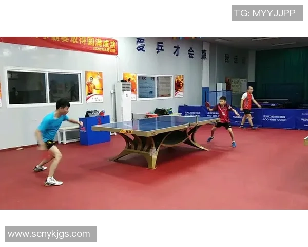 深圳乒乓球队技术争议引发热议球迷与专家观点碰撞激烈